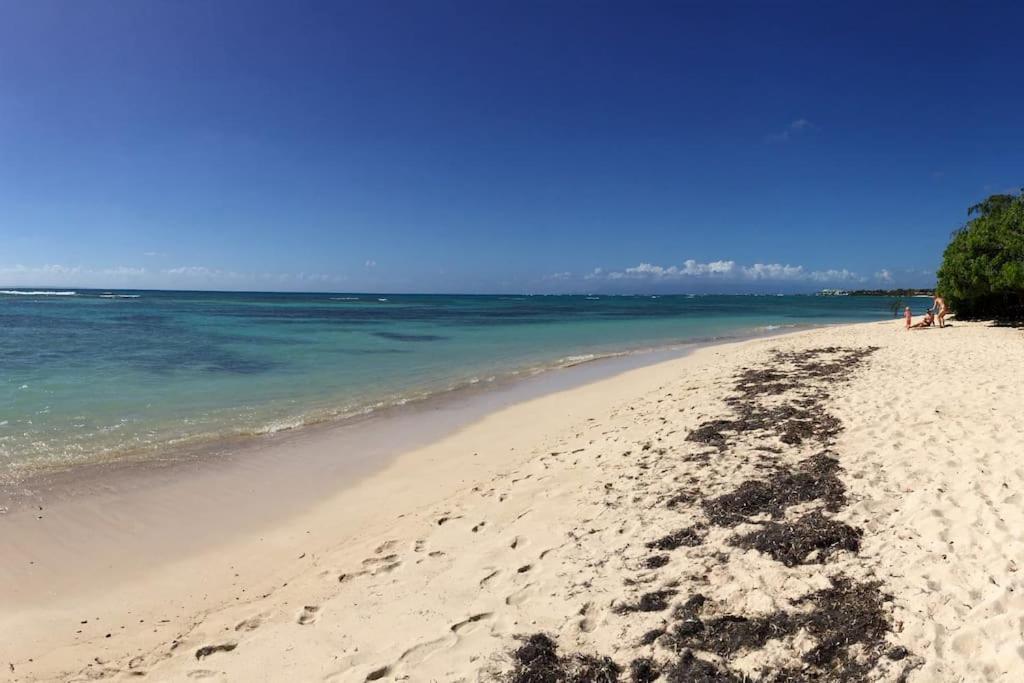 Villa Petite Terre A 50 Metres De La Plage サン・フランソワ エクステリア 写真