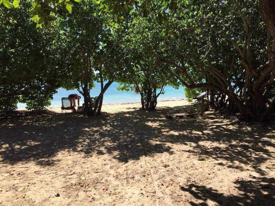 Villa Petite Terre A 50 Metres De La Plage サン・フランソワ エクステリア 写真