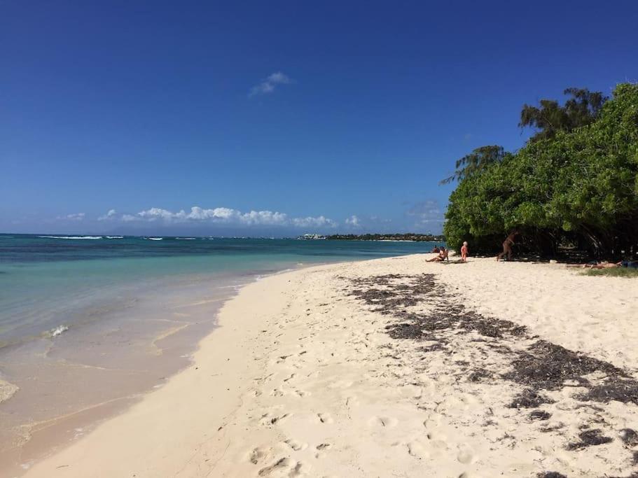 Villa Petite Terre A 50 Metres De La Plage サン・フランソワ エクステリア 写真