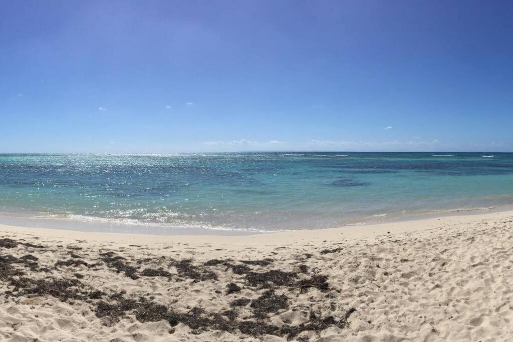 Villa Petite Terre A 50 Metres De La Plage サン・フランソワ エクステリア 写真